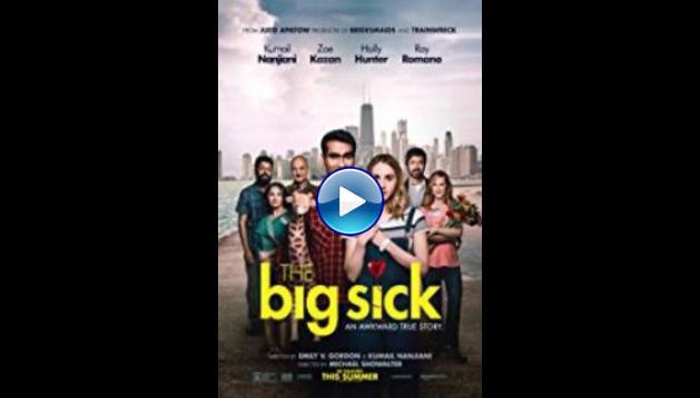 The Big Sick (2017)