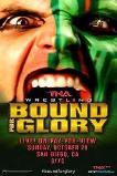 TNA: Bound for Glory (2013)