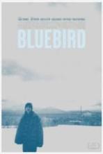 Bluebird ( 2014 )