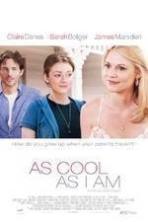 As Cool as I Am ( 2013 )