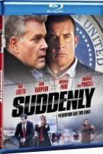Suddenly ( 2013 )
