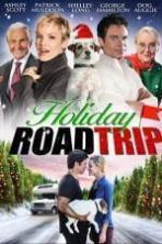 Holiday Road Trip ( 2013 )