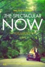 The Spectacular Now ( 2013 )