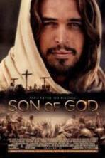 Son Of God ( 2014 )