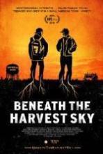 Beneath the Harvest Sky ( 2014 )