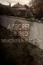 A Secret Buried The Mother and Baby Scandal ( 2014 )