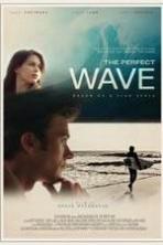The Perfect Wave ( 2014 )