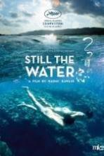 Still the Water ( 2014 )