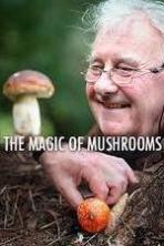 The Magic of Mushrooms ( 2014 )