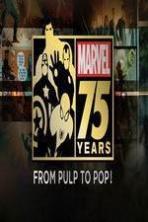 Marvel 75 Years: From Pulp to Pop! ( 2014 )