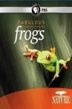 Nature: Fabulous Frogs ( 2014 )
