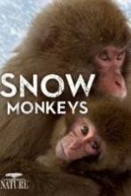 Nature: Snow Monkeys ( 2014 )