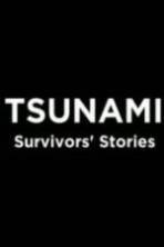 Tsunami Survivors Stories ( 2014 )