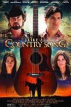 Like a Country Song ( 2014 )