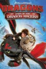 Dragons Dawn of the Dragon Racers ( 2014 )