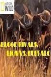 National Geographic - Blood Rivals: Lion vs. Buffalo (2015)