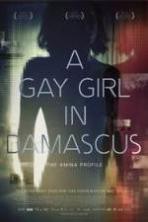 A Gay Girl in Damascus: The Amina Profile ( 2015 )