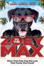 Zoey to the Max ( 2015 )