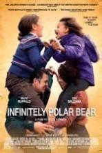 Infinitely Polar Bear ( 2014 )