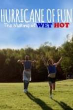 Hurricane of Fun: The Making of Wet Hot ( 2015 )