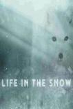 Life in the Snow (2016)