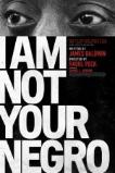 I Am Not Your Negro (2016)