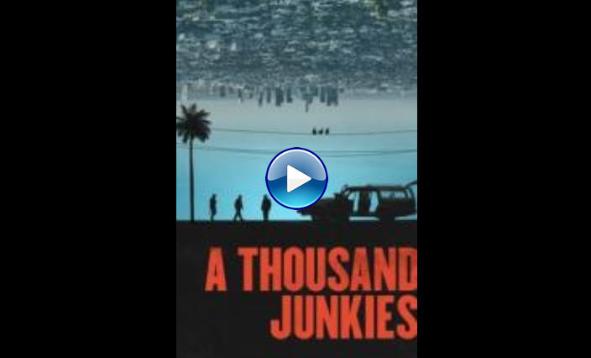 A Thousand Junkies (2017)