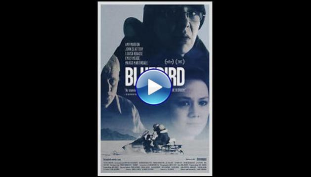 Bluebird (2013)
