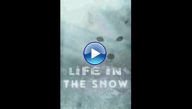 Life in the Snow (2016)