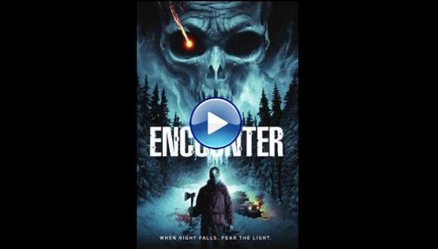 The Encounter (2015)
