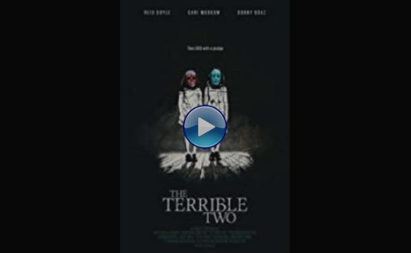 The Terrible Two (2018)