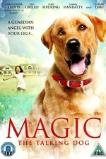 Magic (2010)