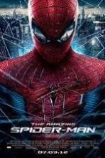 The Amazing Spider-Man ( 2012 )