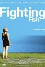 Fighting Fish ( 2010 )