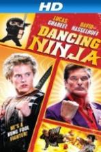 Dancing Ninja ( 2010 )