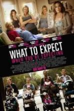 What to Expect When You're Expecting ( 2012 )