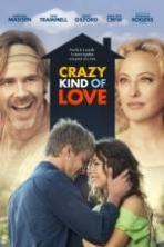 Crazy Kind of Love ( 2013 )