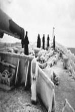 PQ17: An Arctic Convoy Disaster ( 2014 )