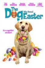 The Dog Who Saved Easter ( 2014 )