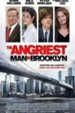 The Angriest Man in Brooklyn ( 2014 )