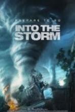 Into the Storm ( 2014 )