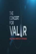 The Concert for Valor ( 2014 )