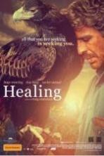 Healing ( 2014 )