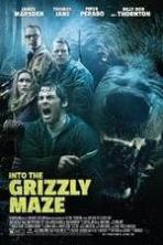 Into the Grizzly Maze ( 2015 )