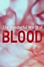 The Wonderful World of Blood with Michael Mosley ( 2015 )
