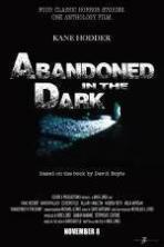 Abandoned in the Dark ( 2014 )