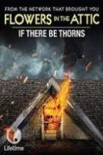 If There Be Thorns ( 2015 )