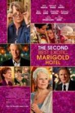 The Second Best Exotic Marigold Hotel ( 2015 )