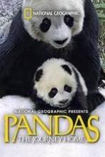 Pandas: The Journey Home ( 2014 )