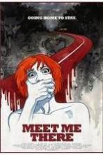 Meet Me There ( 2014 )